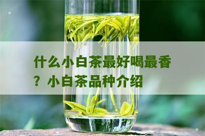 什么小白茶最好喝最香？小白茶品种介绍