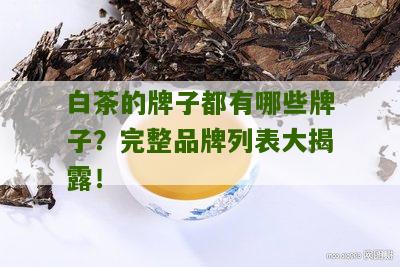 白茶的牌子都有哪些牌子？完整品牌列表大揭露！