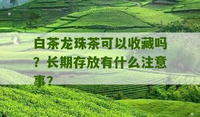 白茶龙珠茶可以收藏吗？长期存放有什么注意事？