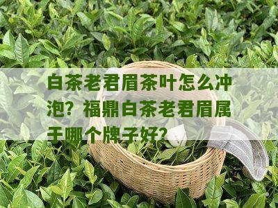 白茶老君眉茶叶怎么冲泡？福鼎白茶老君眉属于哪个牌子好？