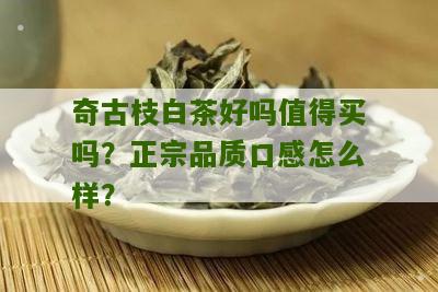 奇古枝白茶好吗值得买吗？正宗品质口感怎么样？