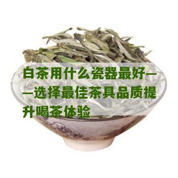 白茶用什么瓷器最好——选择最佳茶具品质提升喝茶体验