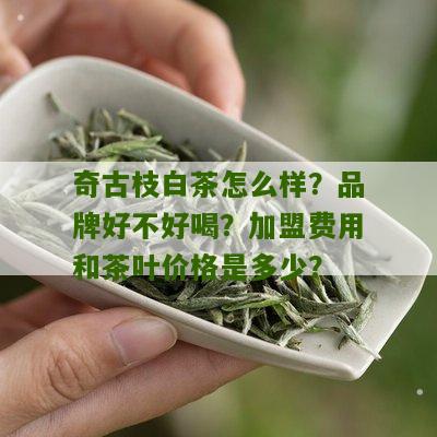 奇古枝白茶怎么样？品牌好不好喝？加盟费用和茶叶价格是多少？