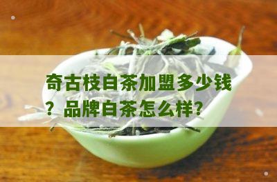 奇古枝白茶加盟多少钱？品牌白茶怎么样？