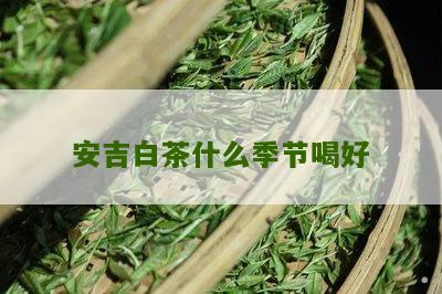 安吉白茶什么季节喝好