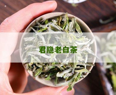 君隐老白茶