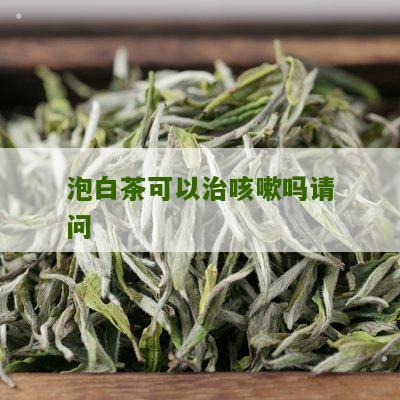 泡白茶可以治咳嗽吗请问