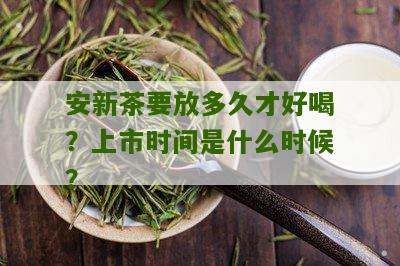 安新茶要放多久才好喝？上市时间是什么时候？