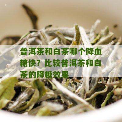 普洱茶和白茶哪个降血糖快？比较普洱茶和白茶的降糖效果