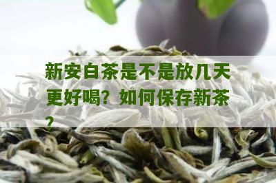 新安白茶是不是放几天更好喝？如何保存新茶？