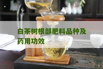 白茶树根部肥料品种及药用功效