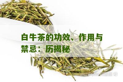 白牛茶的功效、作用与禁忌：历揭秘