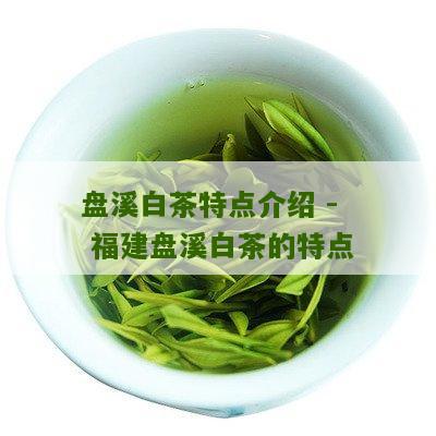 盘溪白茶特点介绍 - 福建盘溪白茶的特点