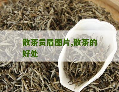 散茶贡眉图片,散茶的好处