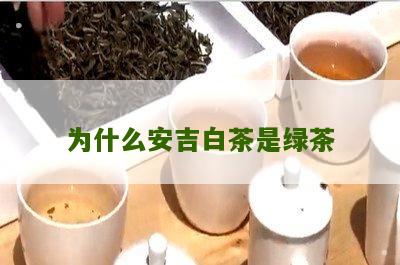 为什么安吉白茶是绿茶