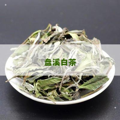 盘溪白茶