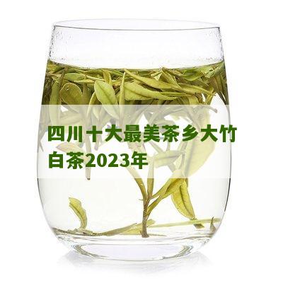 四川十大最美茶乡大竹白茶2023年