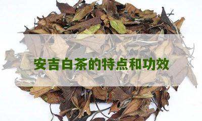 安吉白茶的特点和功效