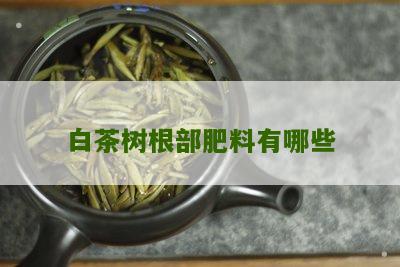 白茶树根部肥料有哪些