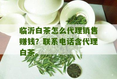 临沂白茶怎么代理销售赚钱？联系电话含代理白茶。