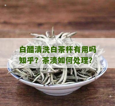 白醋清洗白茶杯有用吗知乎？茶渍如何处理？