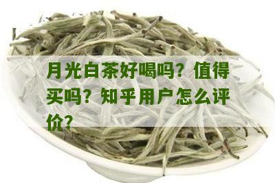 月光白茶好喝吗？值得买吗？知乎用户怎么评价？