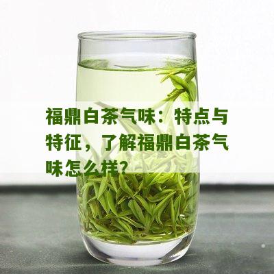 福鼎白茶气味：特点与特征，了解福鼎白茶气味怎么样？