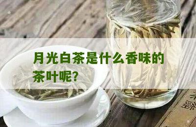 月光白茶是什么香味的茶叶呢？