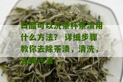 白醋可以洗茶杯茶渍用什么方法？ 详细步骤教你去除茶渍，清洗，去掉污渍！