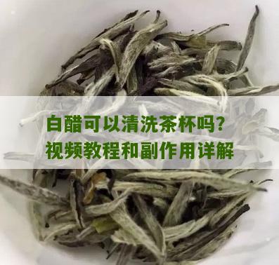 白醋可以清洗茶杯吗？视频教程和副作用详解