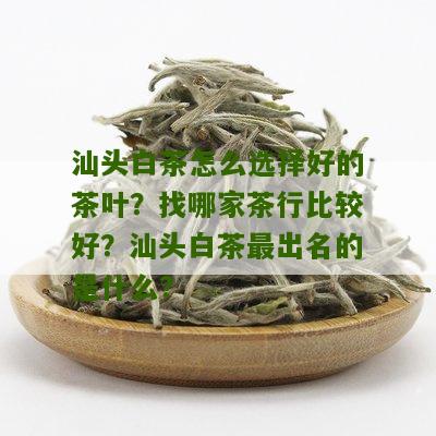 汕头白茶怎么选择好的茶叶？找哪家茶行比较好？汕头白茶最出名的是什么？