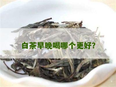 白茶早晚喝哪个更好？