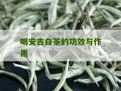 喝安吉白茶的功效与作用