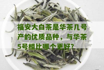 福安大白茶是华茶几号产的优质品种，与华茶5号相比哪个更好？