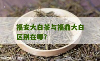 福安大白茶与福鼎大白区别在哪？