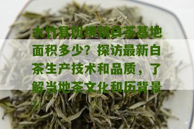 大竹县团坝镇白茶基地面积多少？探访最新白茶生产技术和品质，了解当地茶文化和历背景！