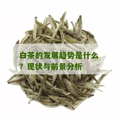 白茶的发展趋势是什么？现状与前景分析