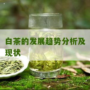 白茶的发展趋势分析及现状