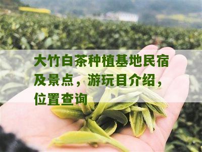 大竹白茶种植基地民宿及景点，游玩目介绍，位置查询