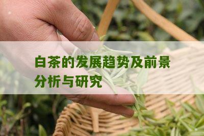 白茶的发展趋势及前景分析与研究