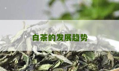 白茶的发展趋势