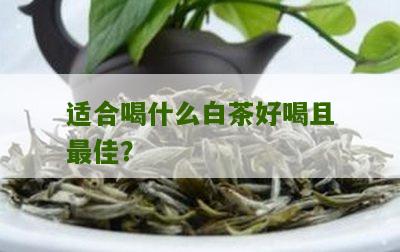 适合喝什么白茶好喝且最佳？