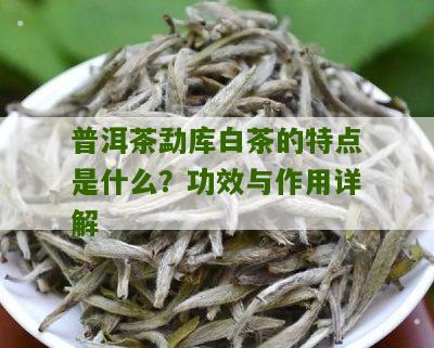 普洱茶勐库白茶的特点是什么？功效与作用详解