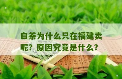 白茶为什么只在福建卖呢？原因究竟是什么？