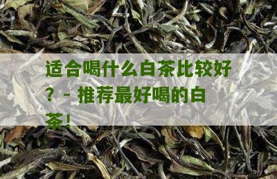 适合喝什么白茶比较好？- 推荐最好喝的白茶！