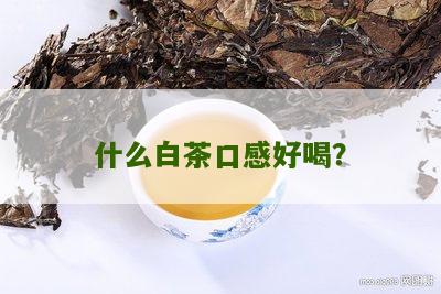 什么白茶口感好喝？