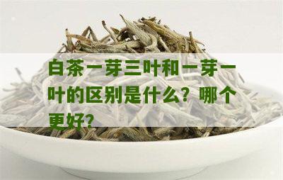 白茶一芽三叶和一芽一叶的区别是什么？哪个更好？