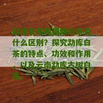 勐库白茶和福鼎白茶有什么区别？探究勐库白茶的特点、功效和作用，以及云南勐库古树白茶。