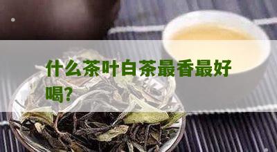 什么茶叶白茶最香最好喝？