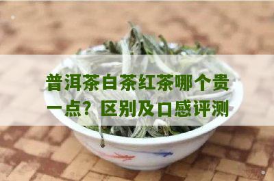 普洱茶白茶红茶哪个贵一点？区别及口感评测